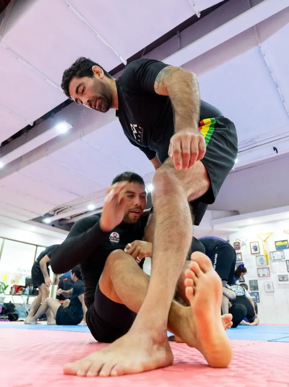 Dos profes de APEX practican una entrada a las piernas en el tatami